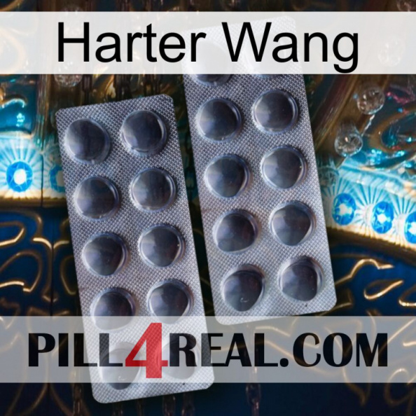 Hard Wang 31